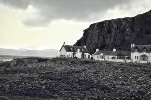 Picsum ID: 236 Cum tempora quas qui adipisci