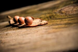 Picsum ID: 139 Ipsam sit et repudiandae ut