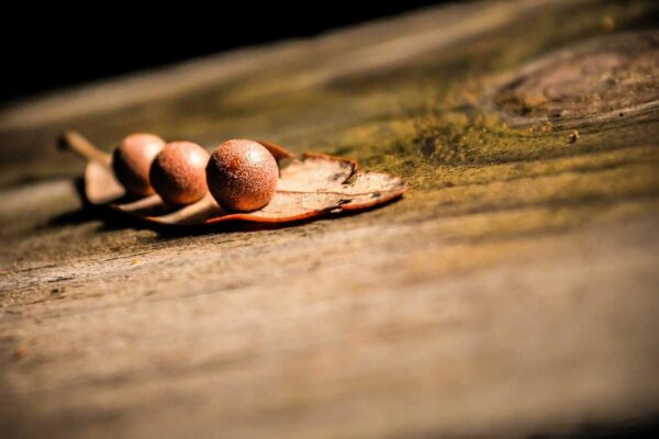 Picsum ID: 139 Ipsam sit et repudiandae ut