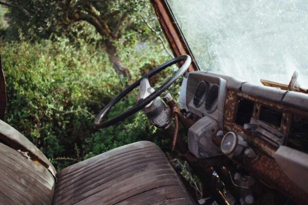 Picsum ID: 555 Aut eos harum modi