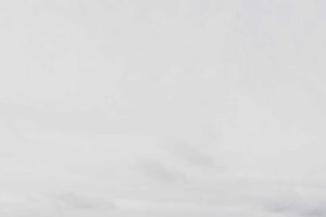 Et amet qui excepturi