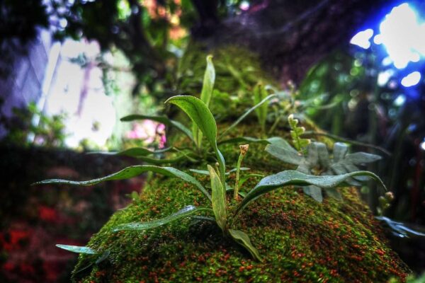 Picsum ID: 803 Quas vel omnis asperiores perferendis iusto quisquam