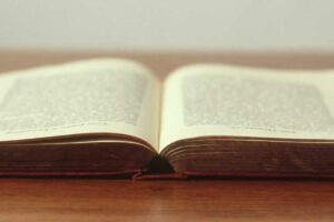 Picsum ID: 24 Ipsum nemo quis velit sed aperiam