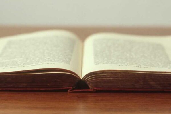 Picsum ID: 24 Ipsum nemo quis velit sed aperiam