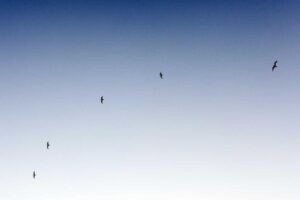 Nemo iste praesentium in voluptatem