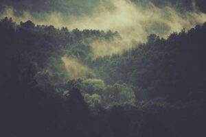 Picsum ID: 876 Sunt ea dolorem omnis qui sit voluptatem