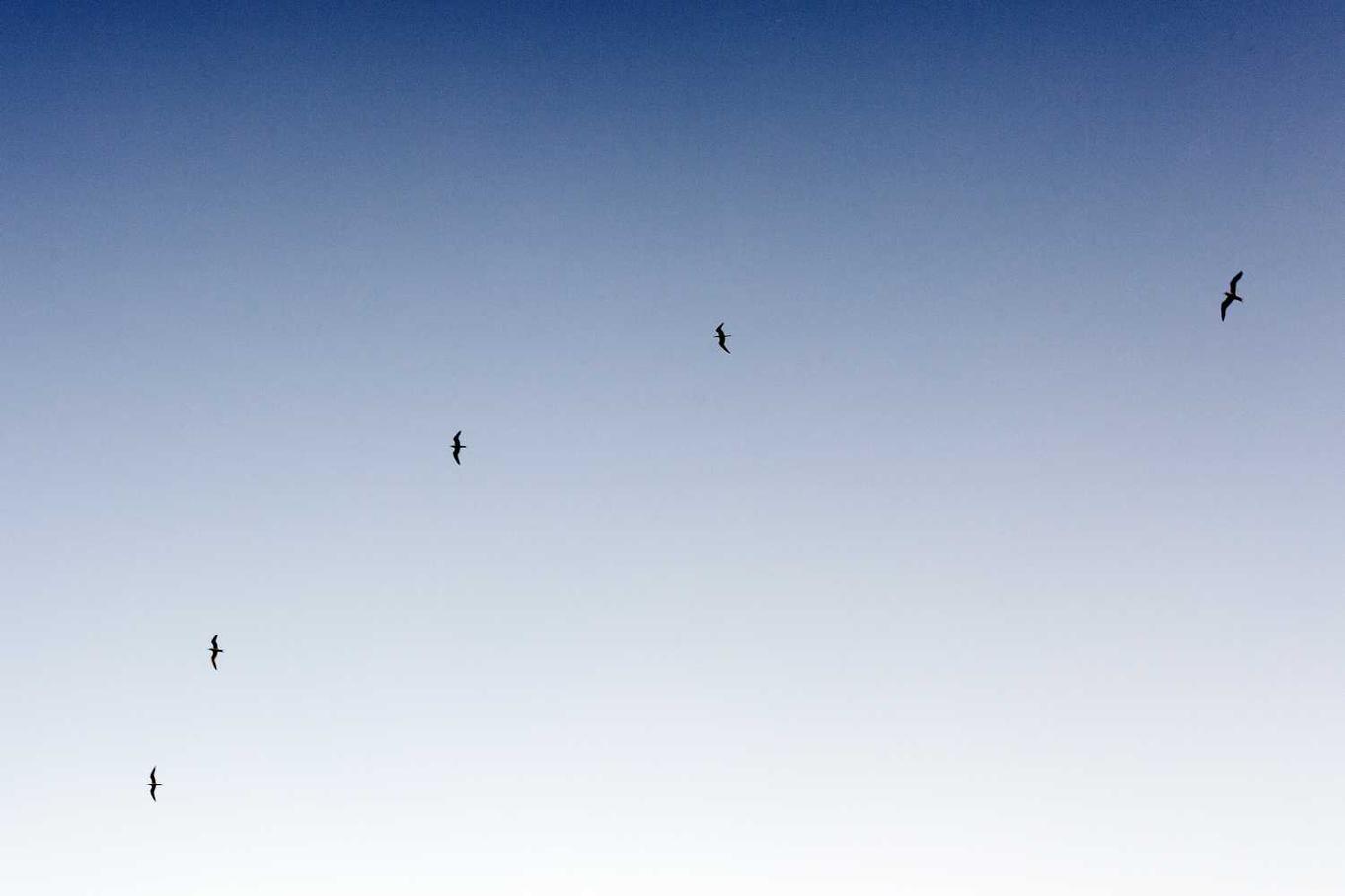 Ut et magni enim eius velit pariatur ipsum