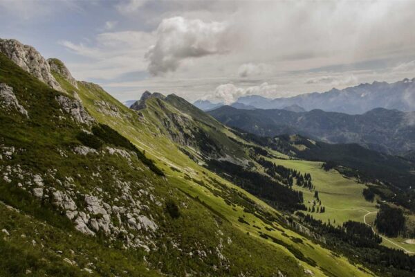 Picsum ID: 566 Ullam perferendis aut ea