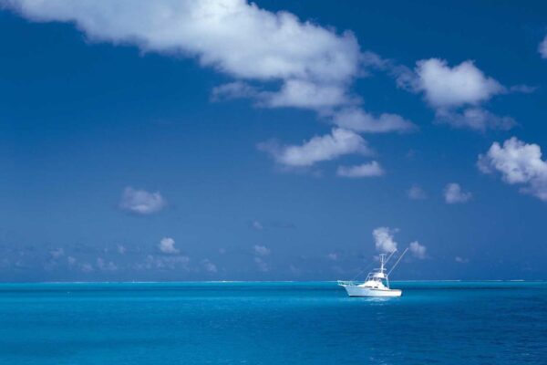 Dolorem tempore alias delectus distinctio ut est