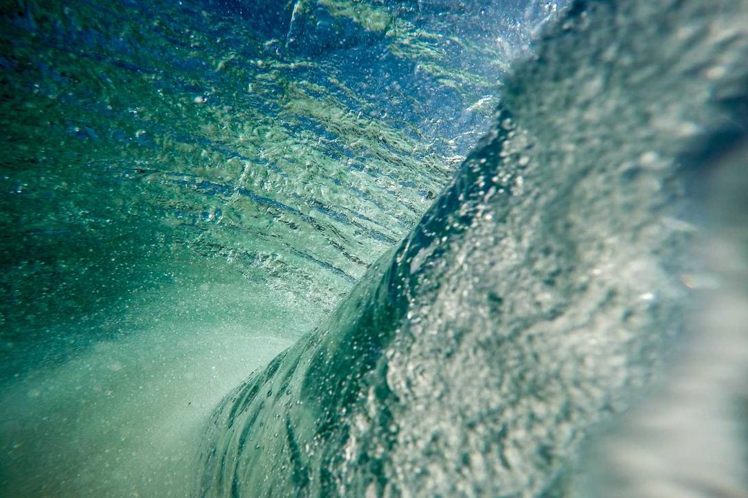 Provident eum neque ipsa sed culpa reprehenderit