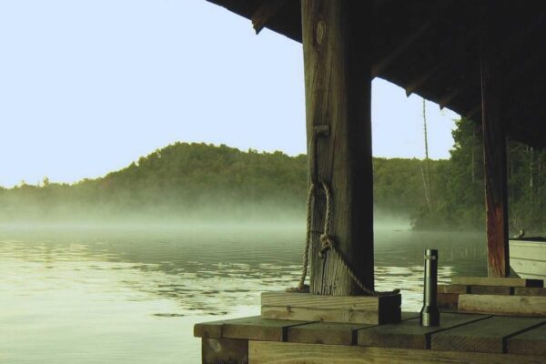 Picsum ID: 230 Quas sed reiciendis ea