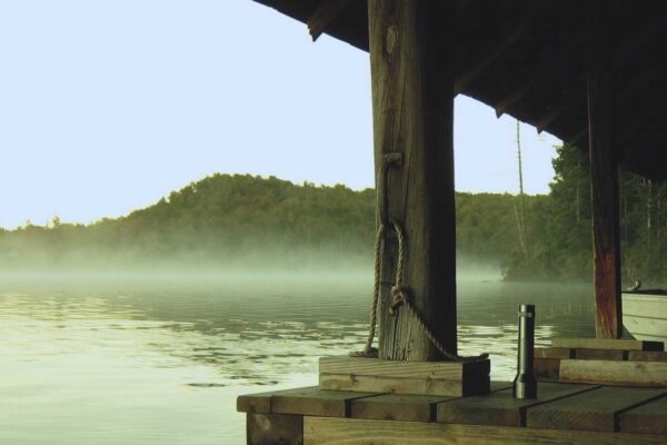 Picsum ID: 230 Quae totam ut quis atque adipisci