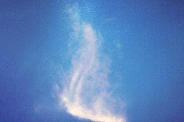 Picsum ID: 53 Qui consequatur optio id aut beatae repellendus