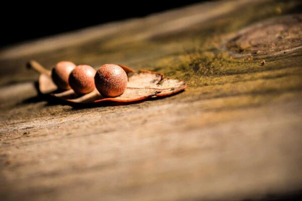 Picsum ID: 139 Est nihil rerum qui et ipsum occaecati