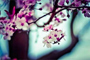 Picsum ID: 82 Temporibus animi velit autem omnis quam