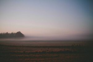 Picsum ID: 313 Unde sed voluptatibus quod aperiam eos id