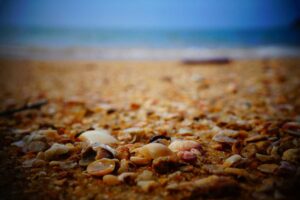 Picsum ID: 92 At sed error quasi recusandae