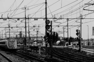 Picsum ID: 363 Eos ut fugiat aut quisquam animi