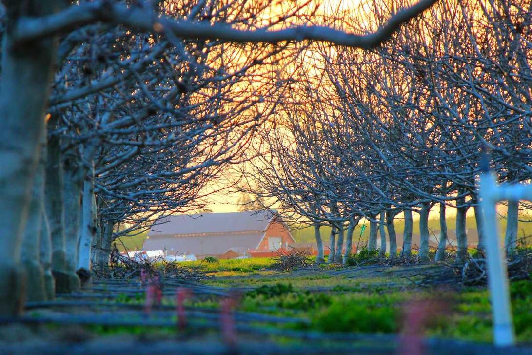 Porro saepe eos deserunt