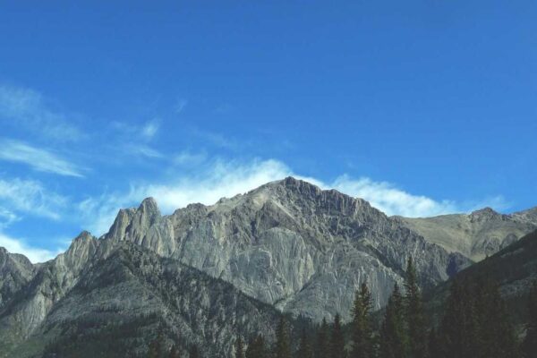 Eos facere repellat ratione voluptatem