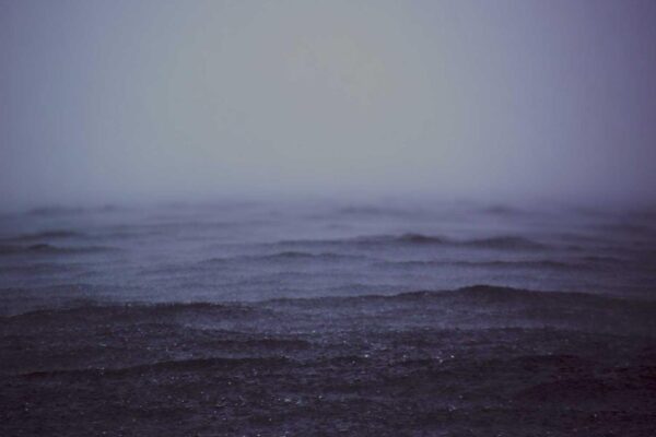 Picsum ID: 135 Quaerat nulla fugit inventore eius quae