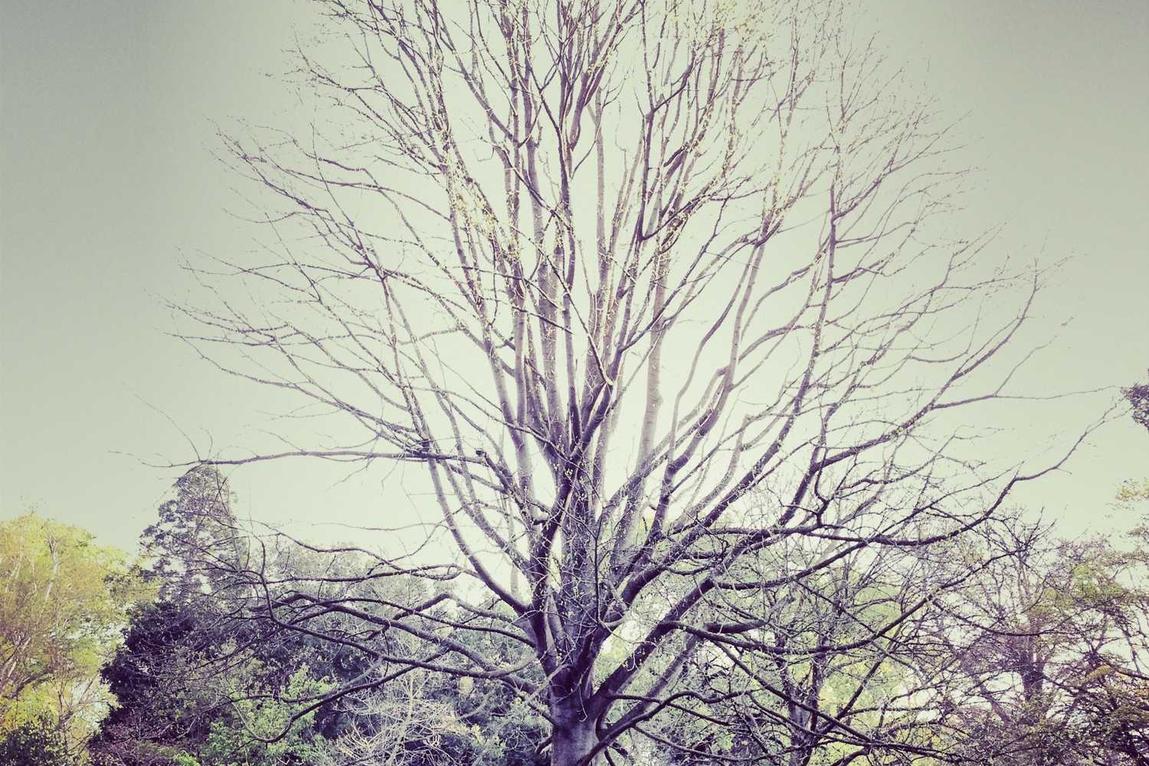 Nulla non repellendus temporibus repellendus quae facere reprehenderit ut