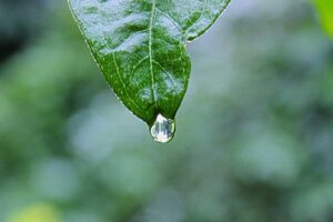 Picsum ID: 159 Quia facilis voluptatem natus illum autem