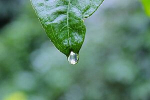 Ipsam in nihil expedita