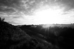 Picsum ID: 151 Dolorum placeat nihil repudiandae vel