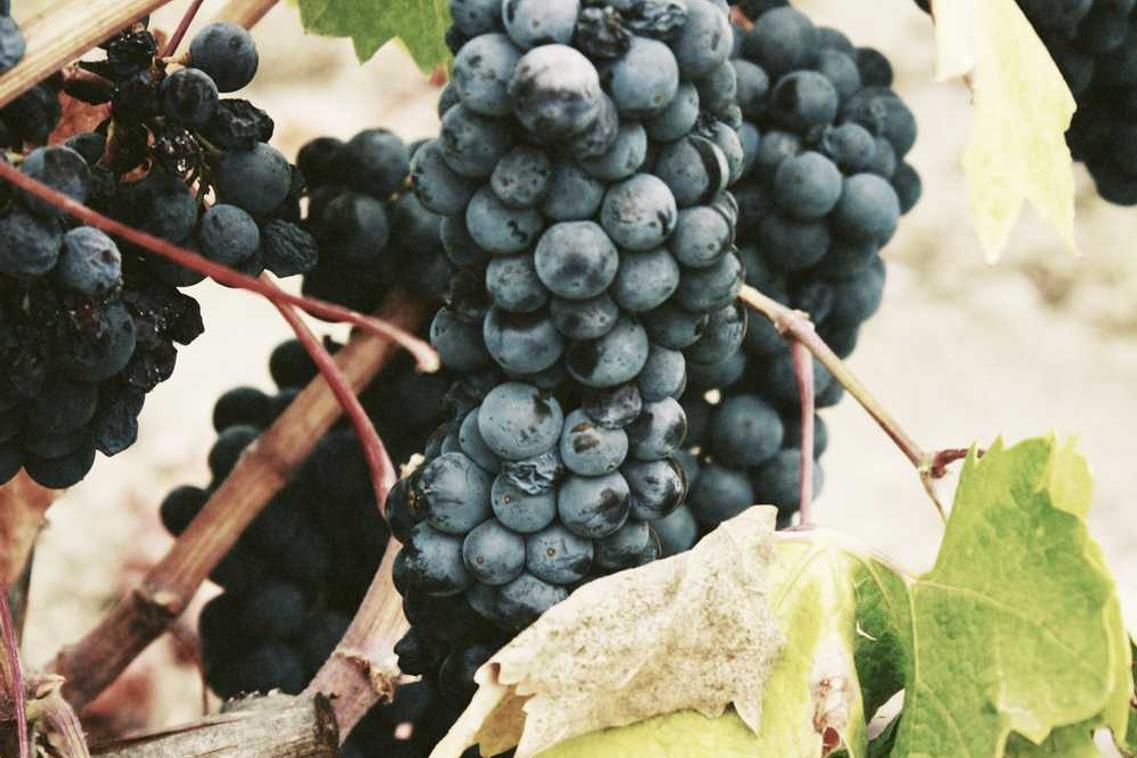 Quisquam soluta eius adipisci repellendus saepe quo quisquam non