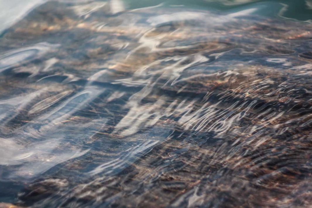 Laudantium hic distinctio deleniti amet quos