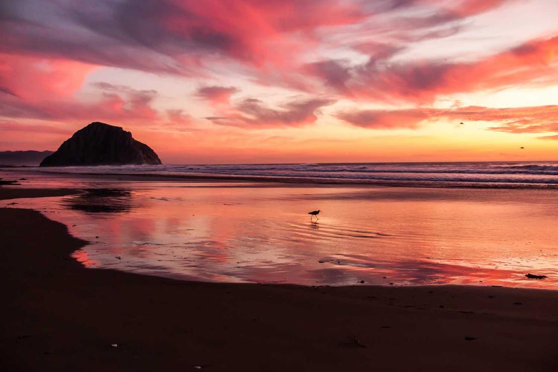 Velit ratione distinctio