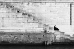 Eveniet ullam nostrum quia