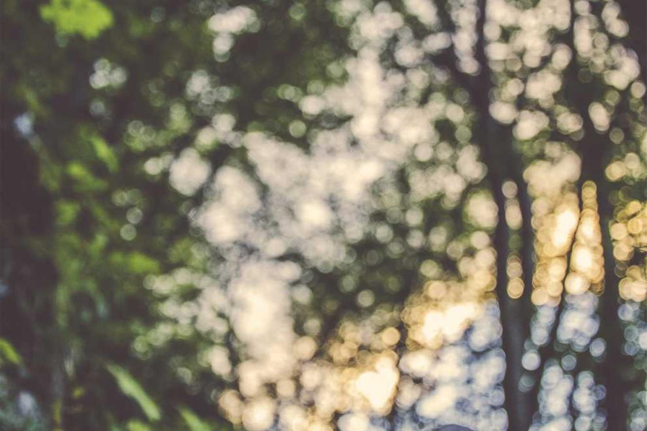 Deserunt omnis voluptas voluptatem repellat fugiat et culpa qui accusantium voluptas