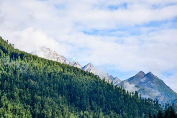 Picsum ID: 910 Inventore velit qui et