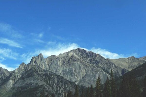 Picsum ID: 806 Fuga est possimus aliquid tempora