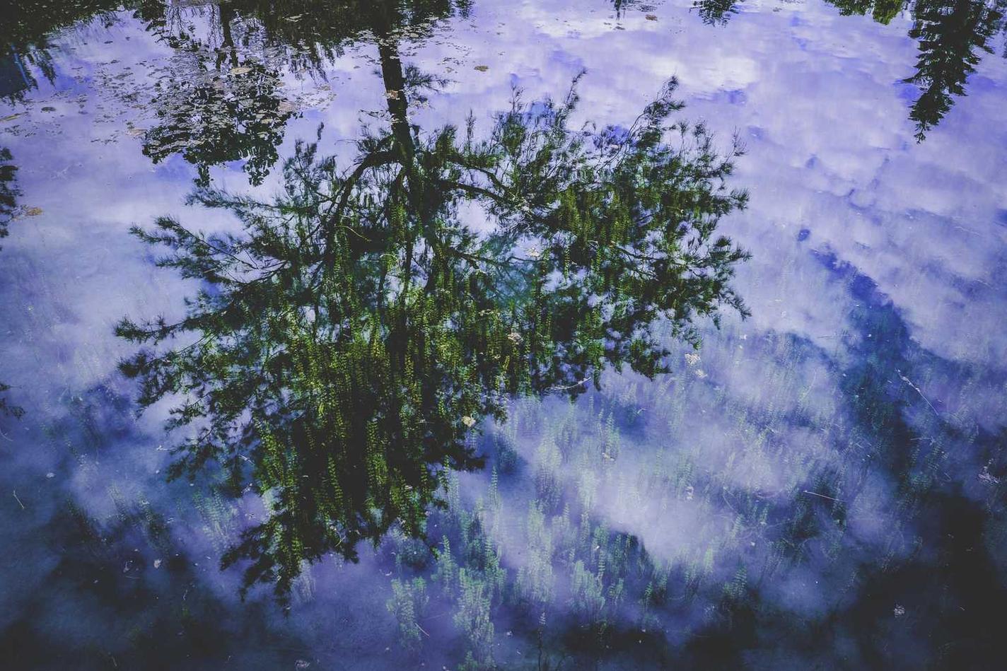 Ut consequuntur repudiandae voluptas enim dolorum