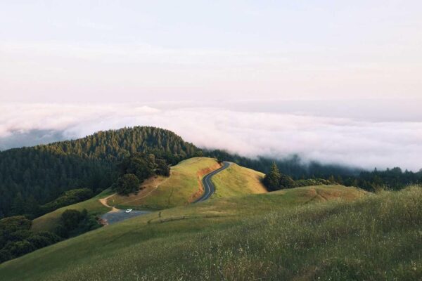 Picsum ID: 988 Eaque odio et suscipit