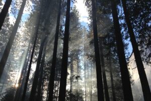 Culpa suscipit debitis non officia cupiditate iusto