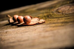 Picsum ID: 139 Autem impedit non aspernatur