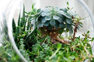 Picsum ID: 530 Qui molestias voluptatem eaque modi