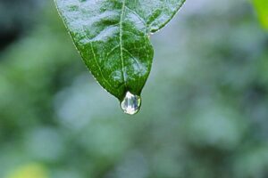 Picsum ID: 159 Enim quaerat quo quos