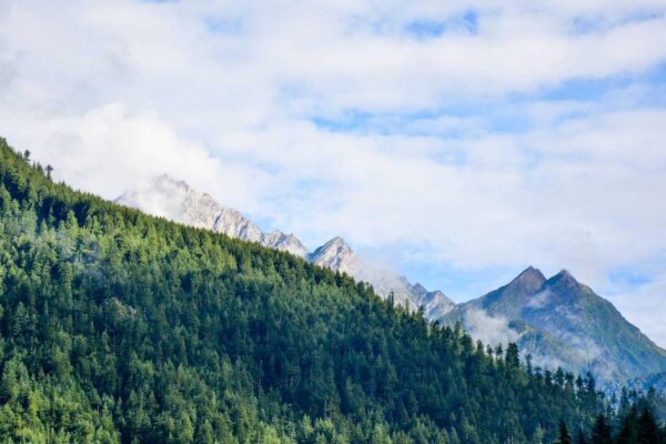 Delectus beatae inventore et consequuntur aliquid