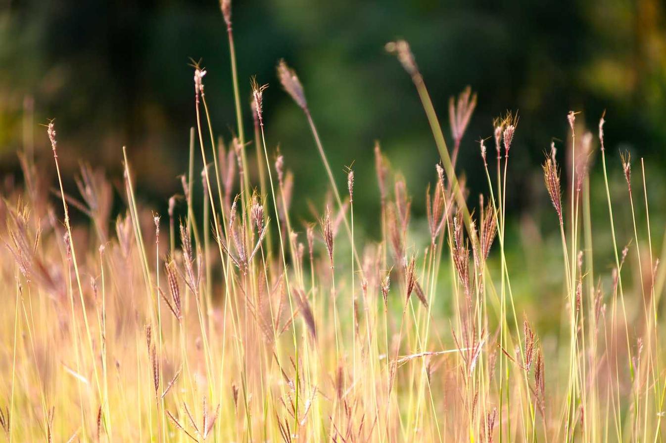 Molestias dolor quasi officia iste