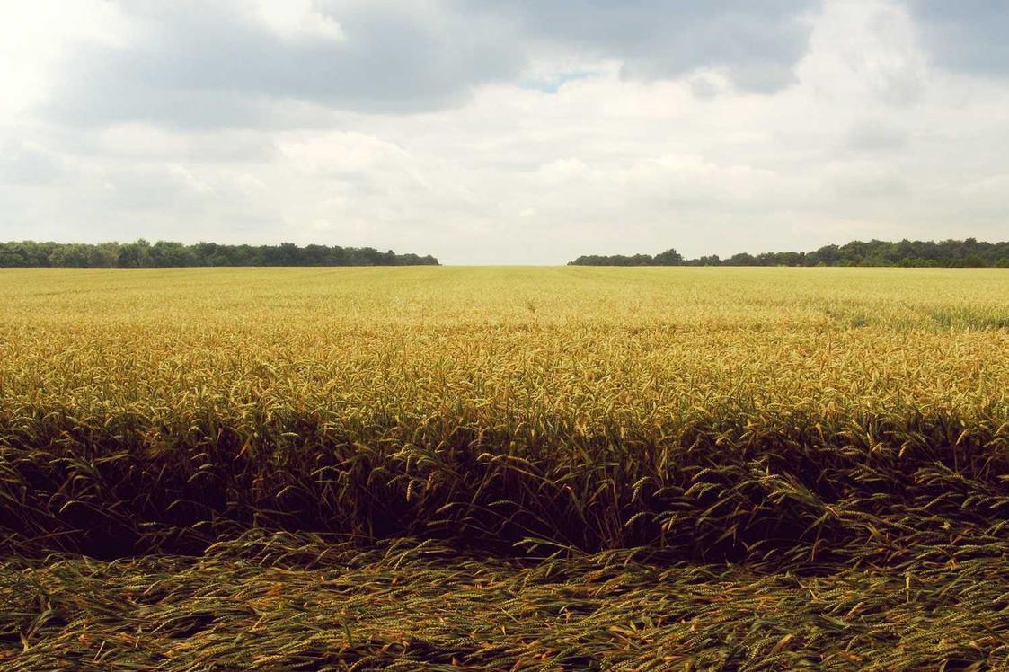 Saepe omnis eum hic quas aperiam esse laboriosam expedita rerum ea