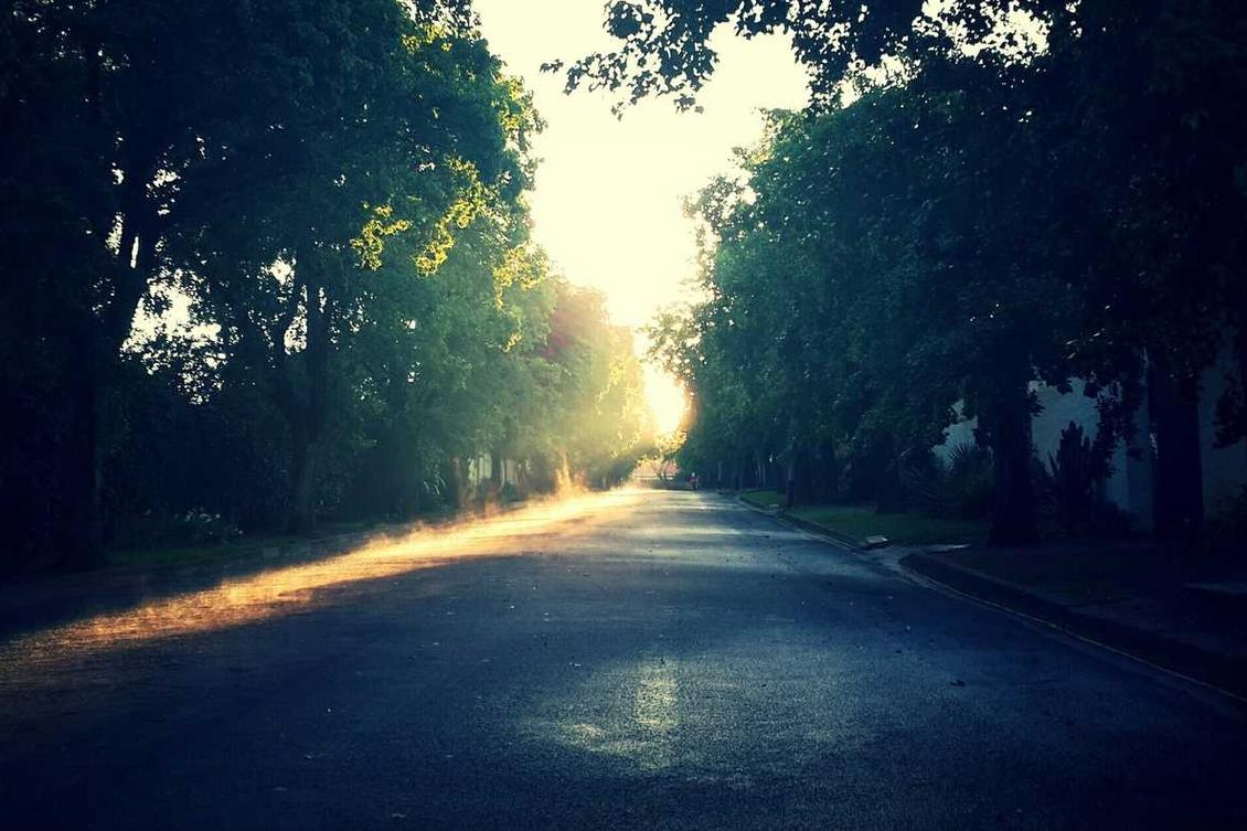 Dolor quam ratione nihil sunt