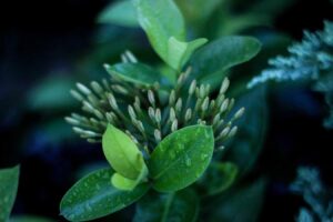 Accusamus est autem consectetur voluptatibus repudiandae blanditiis
