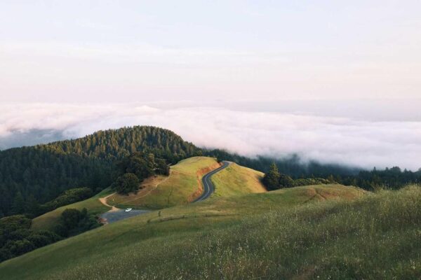 Picsum ID: 988 Porro aut vel similique ad